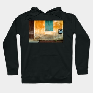 Antique Chinese Wall in Vietnam Hoodie